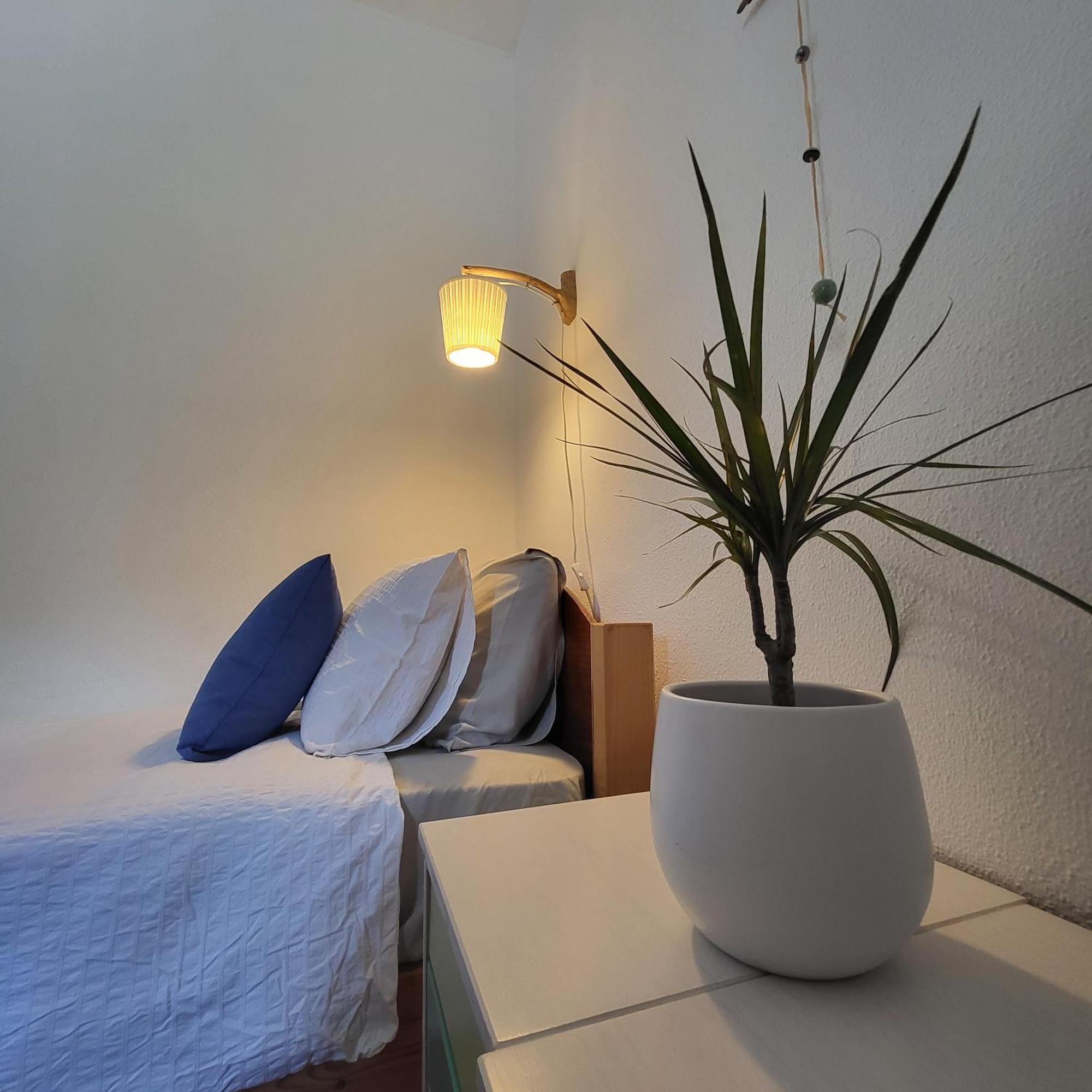 Arrifana Pines Otel Aljezur Dış mekan fotoğraf